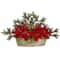 18'' Poinsettia, Succulent & Pine Plant in Decorative Vase